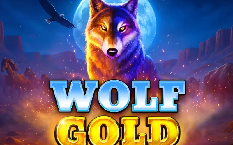 Play Wolf Gold at 1win, and win big with wild symbols now.